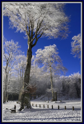 Ireland - Co.Sligo - Wintertime at Hazelwood