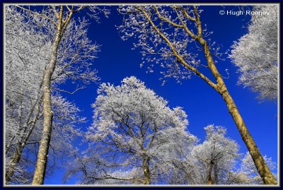 Ireland - Co.Sligo - Wintertime at Hazelwood  