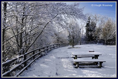 Ireland - Co.Sligo