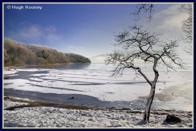  Ireland - Co.Sligo - Lough Gill at Hazelwood  