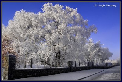 Ireland - Sligo - Wintertime on the Clarion Road - Christmas Eve 2010.jpg