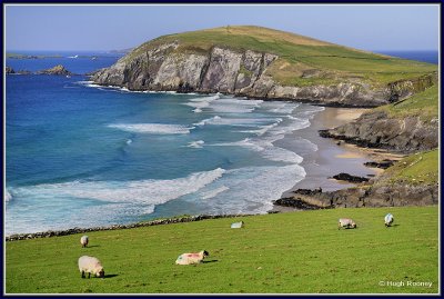 Ireland - Co.Kerry - Dingle Peninsula