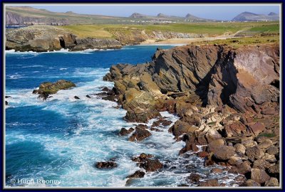 Ireland - Co.Kerry - Dingle Peninsula - Clogher Head