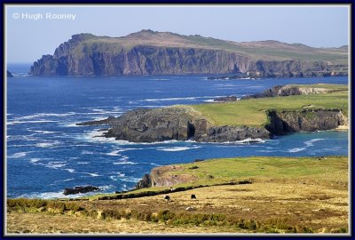 Ireland - Co.Kerry - Dingle Peninsula - Clogher Head