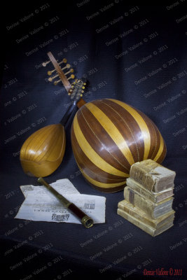 Old object:,a big lute,small mandolin,books and ancient telescope