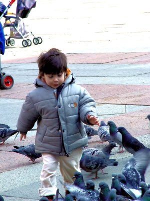 Bologna-Young Boy Chasing Pigeons.jpg