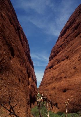 Walpa Gorge at Kata Tjuta