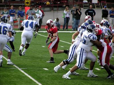 Buffalo #44 Runs