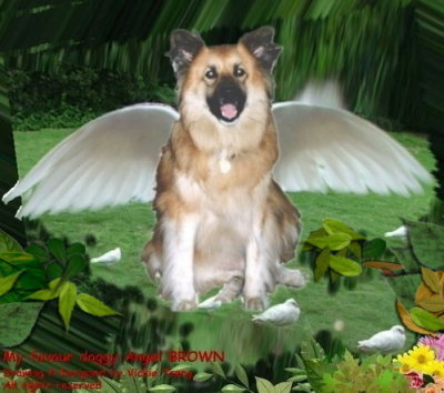 Doggy Angel BROWN