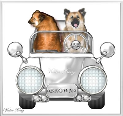 Brown's Car