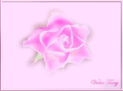 Illusional Rose