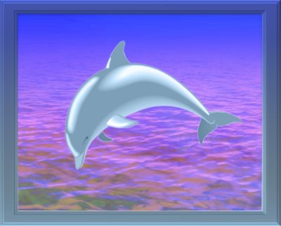 Dophin