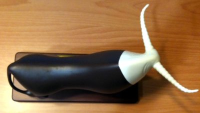 A Sculpture of Bull