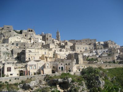 221.JPG