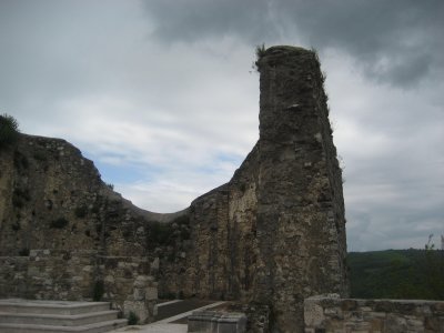 239.JPG