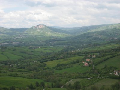 242.JPG