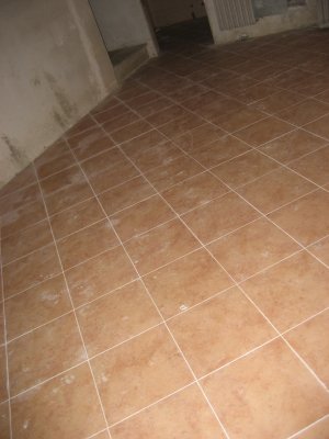 256.JPG