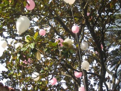 The balloons but not the wishes got hung up in the tree.JPG