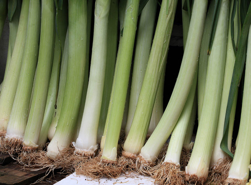 Chinese spring onion