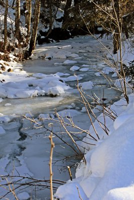  When the snow melts, various signs of Life from the nature wake up with the arrival of spring.