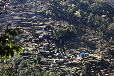 Reisterrassen in Nepal  /  Rice terraces in Nepal