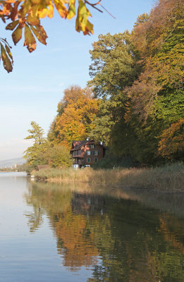 Rotsee in autumn