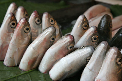 Fishmarket in Taipei