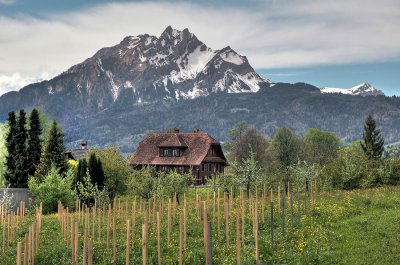 Meggen with view to Mt. Pilatus