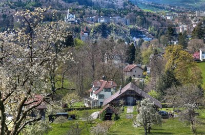 View from Dieschiberg to Hotel Guetsch