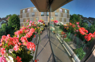 The summer flower balcony