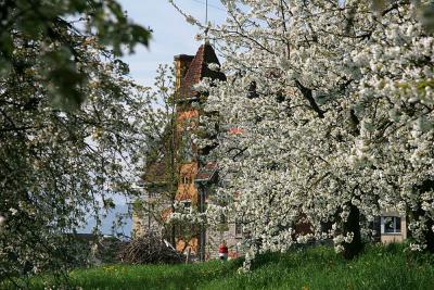 A flower house