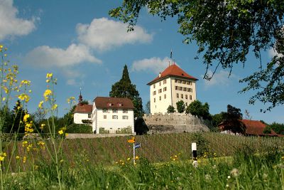 Castle Heidegg