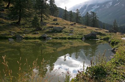 Fafler-Lake with reflections