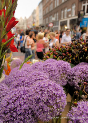 Grafton Street Flowers