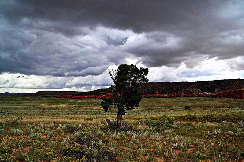 New Mexico