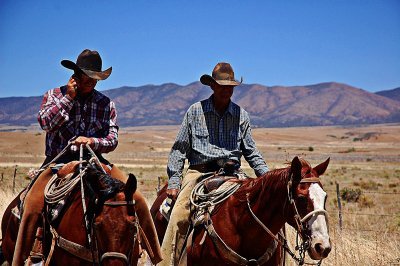 Arizona Cowboys & Cell Phone
