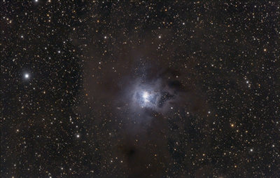 NGC 7023 The Iris Nebula