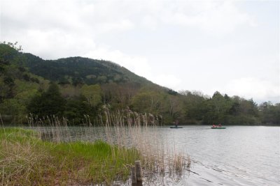 12-06-02-0005 (Large).jpg