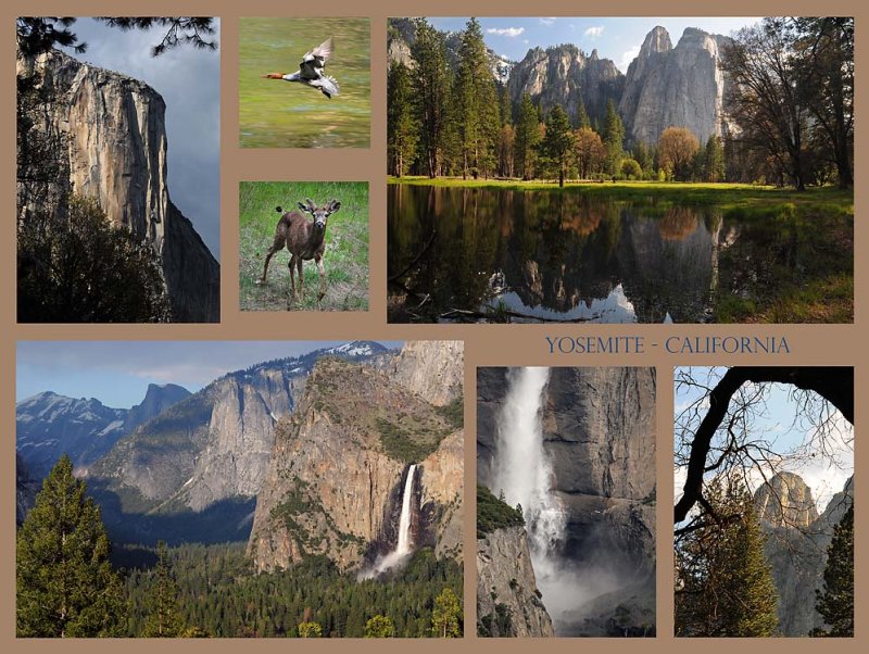 Yosemite Collage