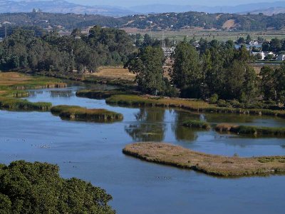 Marsh View