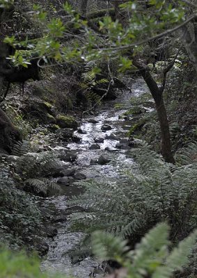 Beautiful Creek