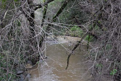 Swollen Creek