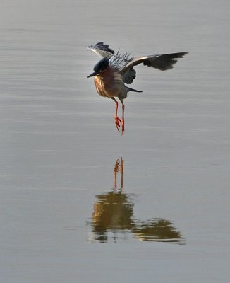 Prepared to Land