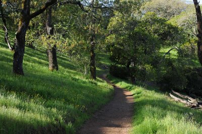 Path Leading Up
