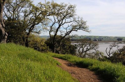 Path with Water View