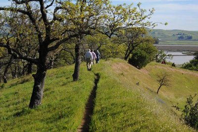 Narrow Ridgetop Trail