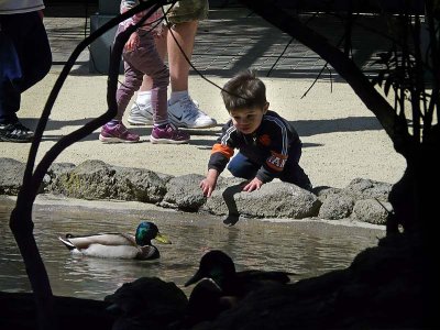 Boy with Duck