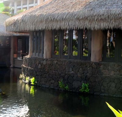 Thatched Roof and Pond