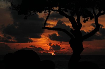 Sunrises of Hawaii