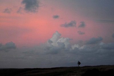 Pink Sky Through Screen